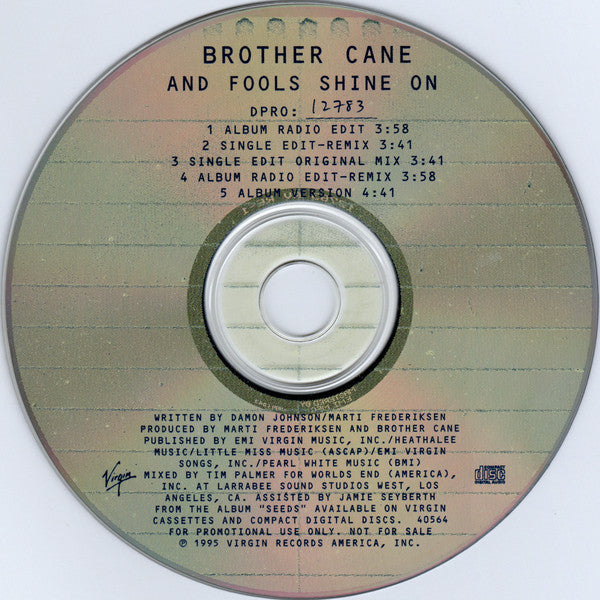 Brother Cane : And Fools Shine On (CD, Single, Promo)