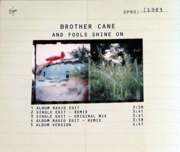 Brother Cane : And Fools Shine On (CD, Single, Promo)