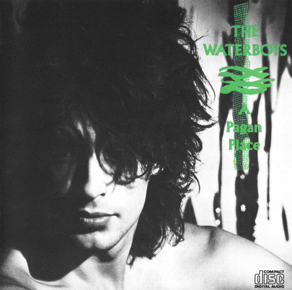 The Waterboys : A Pagan Place (CD, Album, RE)