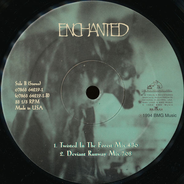 Enchanted : Enchanted (12")