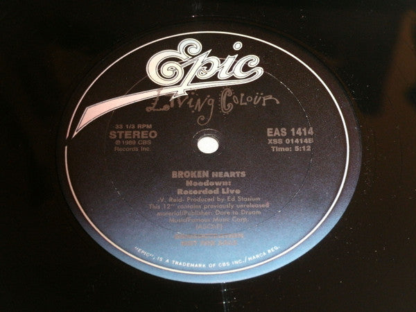 Living Colour : What's Your Favorite Color? (Theme Song) (12", Promo)