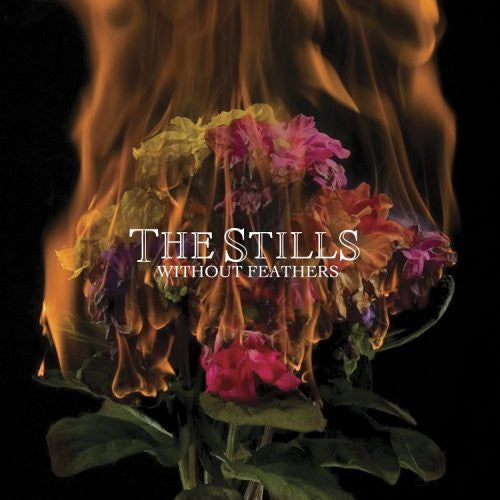 The Stills : Without Feathers (CD, Album)