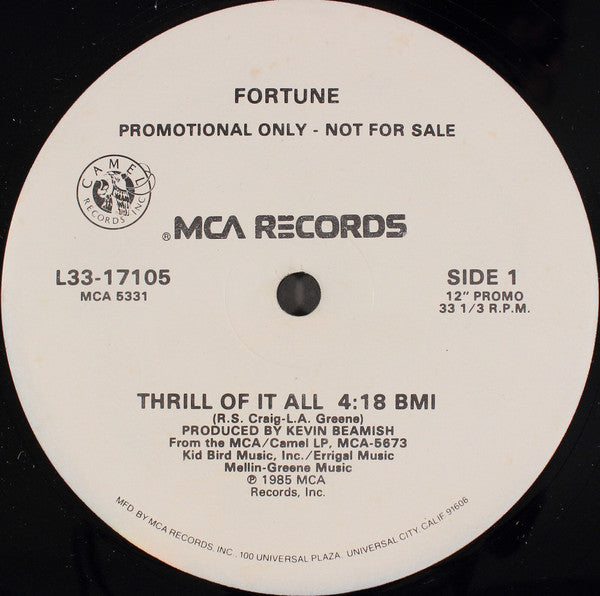 Fortune (2) : Thrill Of It All (12", Promo)