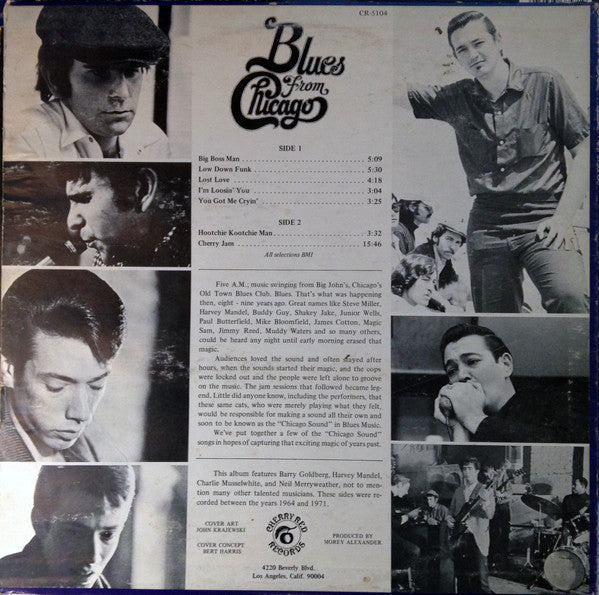 Harvey Mandel, Barry Goldberg, Charlie Musselwhite, Neil Merryweather, Bob Jones (3) : Blues From Chicago (LP, Album)