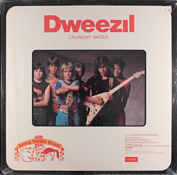 Dweezil Zappa : My Mother Is A Space Cadet (12")
