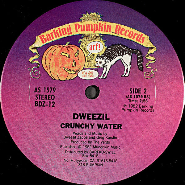 Dweezil Zappa : My Mother Is A Space Cadet (12")