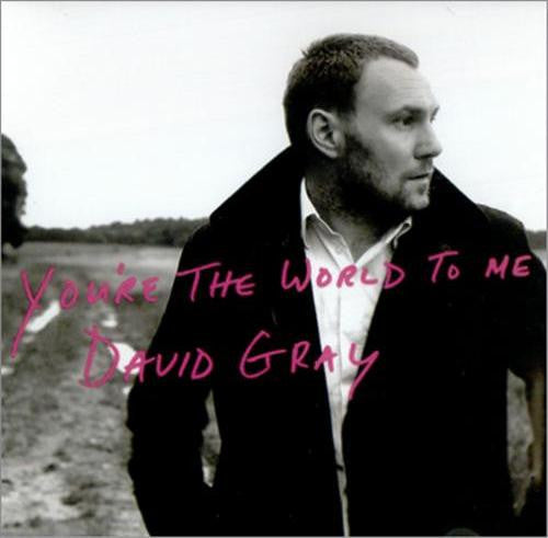 David Gray : You're The World To Me (CD, Single, Promo)