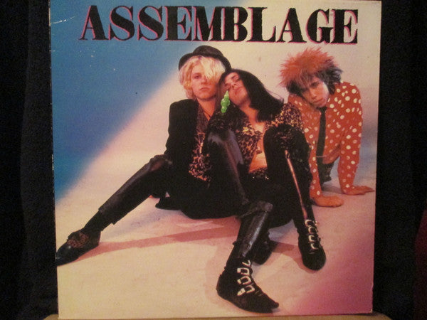 Assemblage (2) : Assemblage (12")