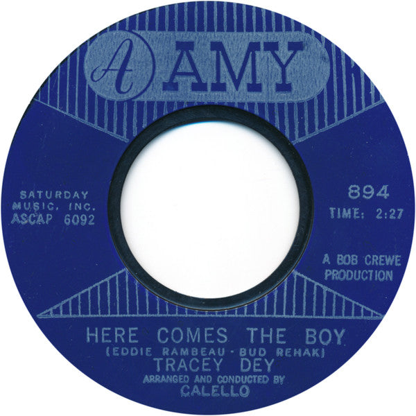 Tracey Dey : Here Comes The Boy (7", Single, Styrene)
