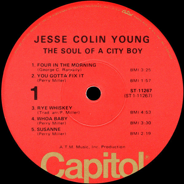 Jesse Colin Young : The Soul Of A City Boy (LP, Album, RE, Win)