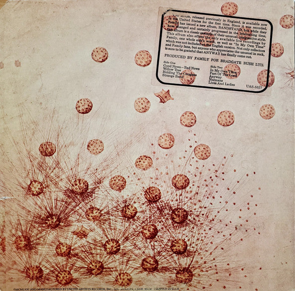 Family (6) : Anyway (LP, Album)