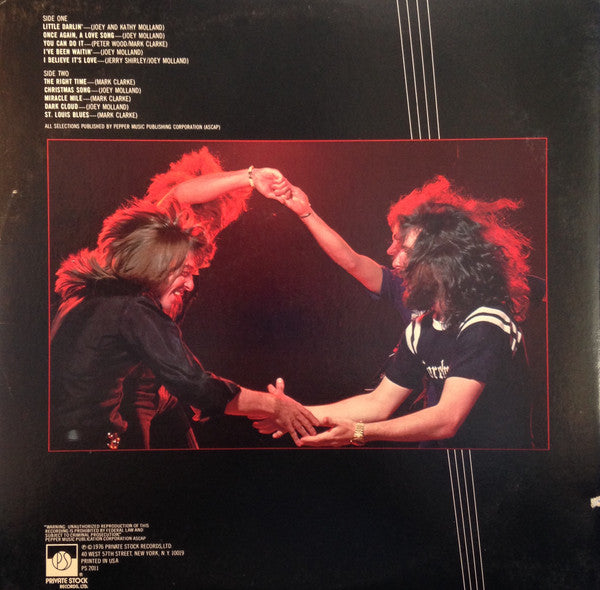 Natural Gas : Natural Gas (LP, Album, Ter)