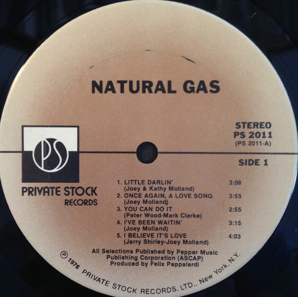 Natural Gas : Natural Gas (LP, Album, Ter)