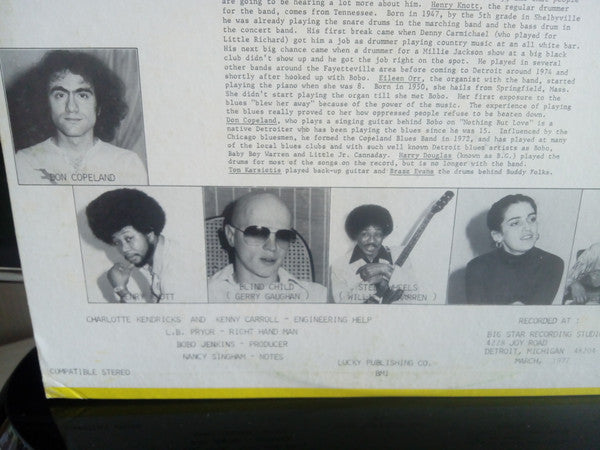Bobo Jenkins With The Big Star Band / Various : Detroit All Purpose Blues (LP, Comp)