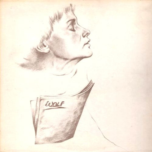 Bobbi Rogers : Tommy Wolf Can Really Hang You Up The Most (LP, Album)