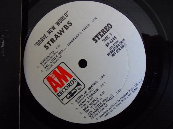 Strawbs : Grave New World (LP, Promo)