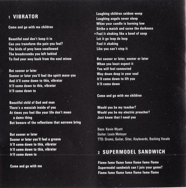 Terence Trent D'Arby : Terence Trent D'Arby's Vibrator* (CD, Album)