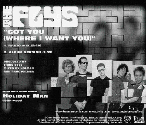 The Flys : Got You (Where I Want You) (CD, Single, Promo)