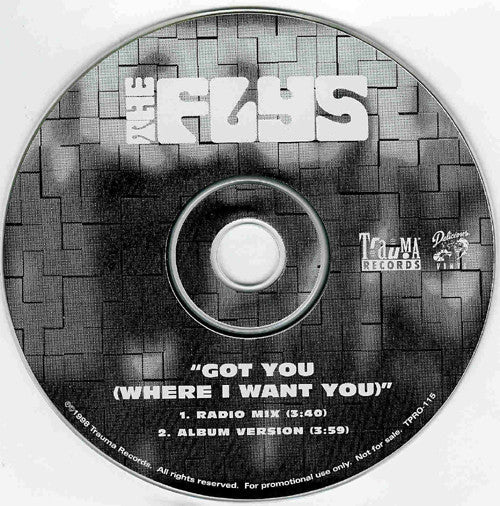 The Flys : Got You (Where I Want You) (CD, Single, Promo)