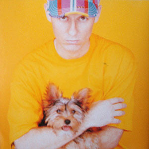 Pet Shop Boys : Introspective (CD, Album)