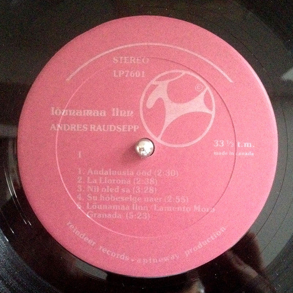 Andres Raudsepp : lõunamaa linn (LP, Album)