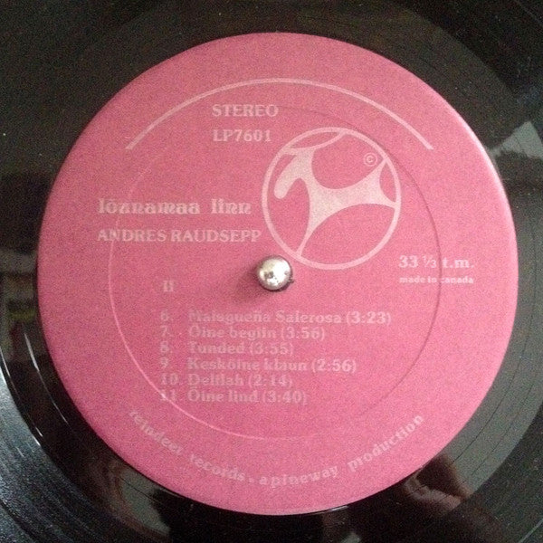Andres Raudsepp : lõunamaa linn (LP, Album)