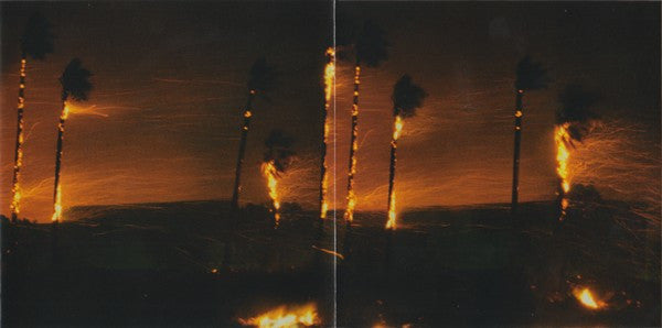 Hole (2) : Celebrity Skin (CD, Album, Club)
