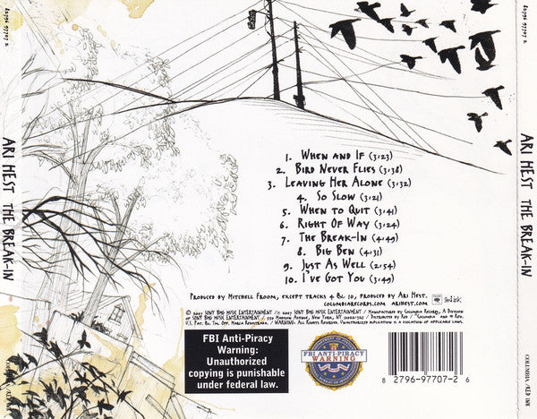Ari Hest : The Break-In (CD, Album)