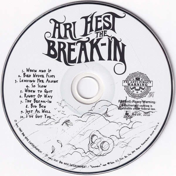 Ari Hest : The Break-In (CD, Album)