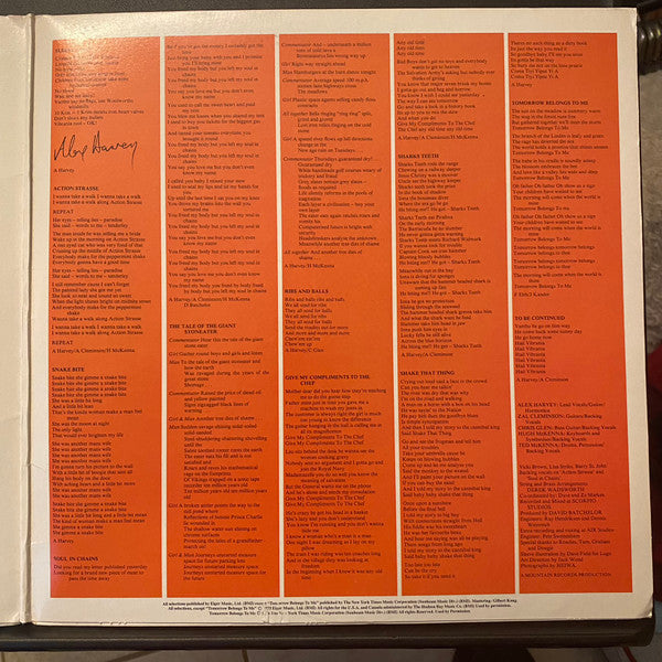 The Sensational Alex Harvey Band : Tomorrow Belongs To Me (LP, Album, Promo, Gat)