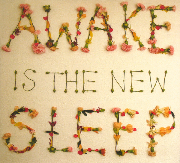 Ben Lee : Awake Is The New Sleep (CD, Album, Dig)