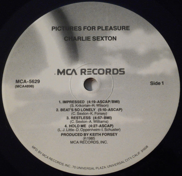 Charlie Sexton : Pictures For Pleasure (LP, Album, Pin)