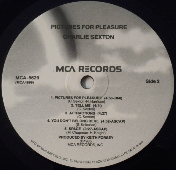 Charlie Sexton : Pictures For Pleasure (LP, Album, Pin)