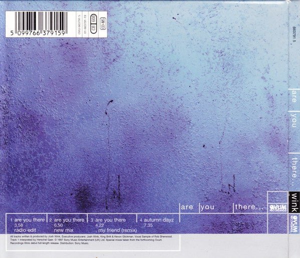 Josh Wink : Are You There... (CD, Maxi, Dig)