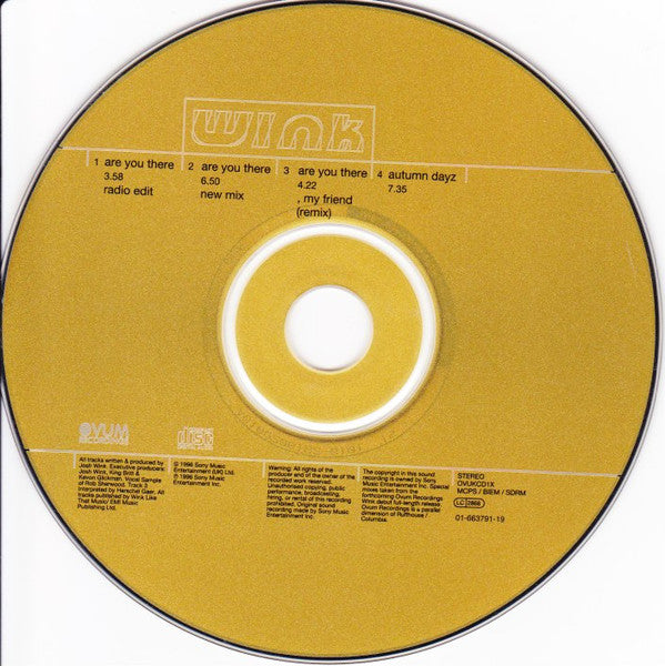Josh Wink : Are You There... (CD, Maxi, Dig)
