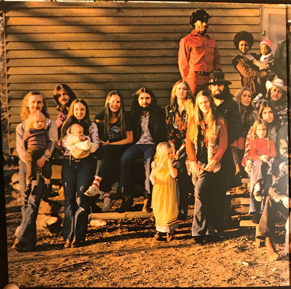The Allman Brothers Band : Brothers And Sisters (LP, Album, RE, RM, RP, Gat)