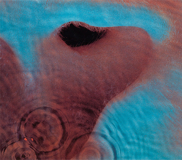 Pink Floyd : Meddle (CD, Album, RE, RM, Gat)