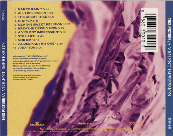 This Picture : A Violent Impression (CD, Album)