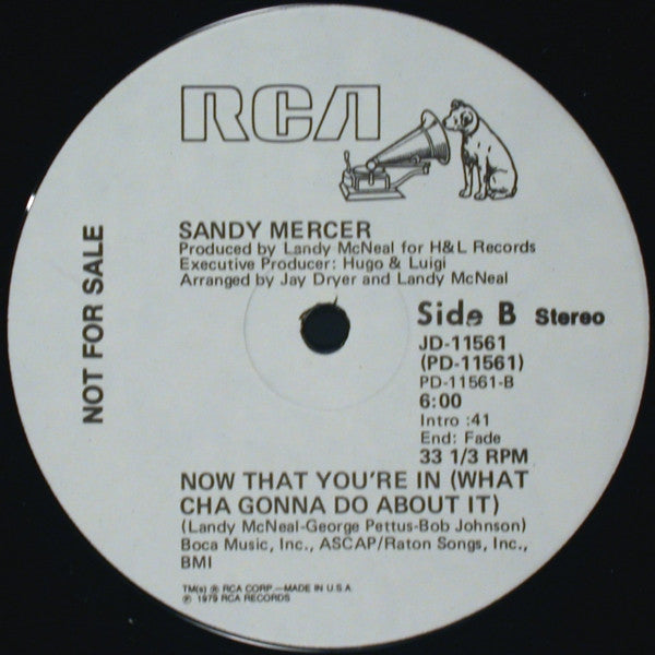 Sandy Mercer : Work Your Body (Work That Body) (12", Promo)
