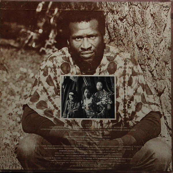 Taj Mahal : Recycling The Blues & Other Related Stuff (LP, Album, Ter)